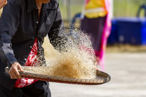 Rice Husk Power Project, Cambodia